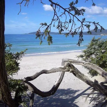 דירה Affittasardegna-appartamenti Agostino